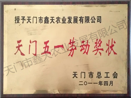 天門五一勞動(dòng)獎(jiǎng)狀(2011)