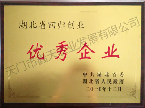 優(yōu)秀企業(yè)(2010)