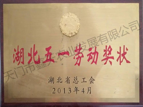 湖北五一勞動獎狀(2013)