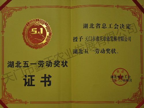 湖北五一勞動獎狀證書(2013)