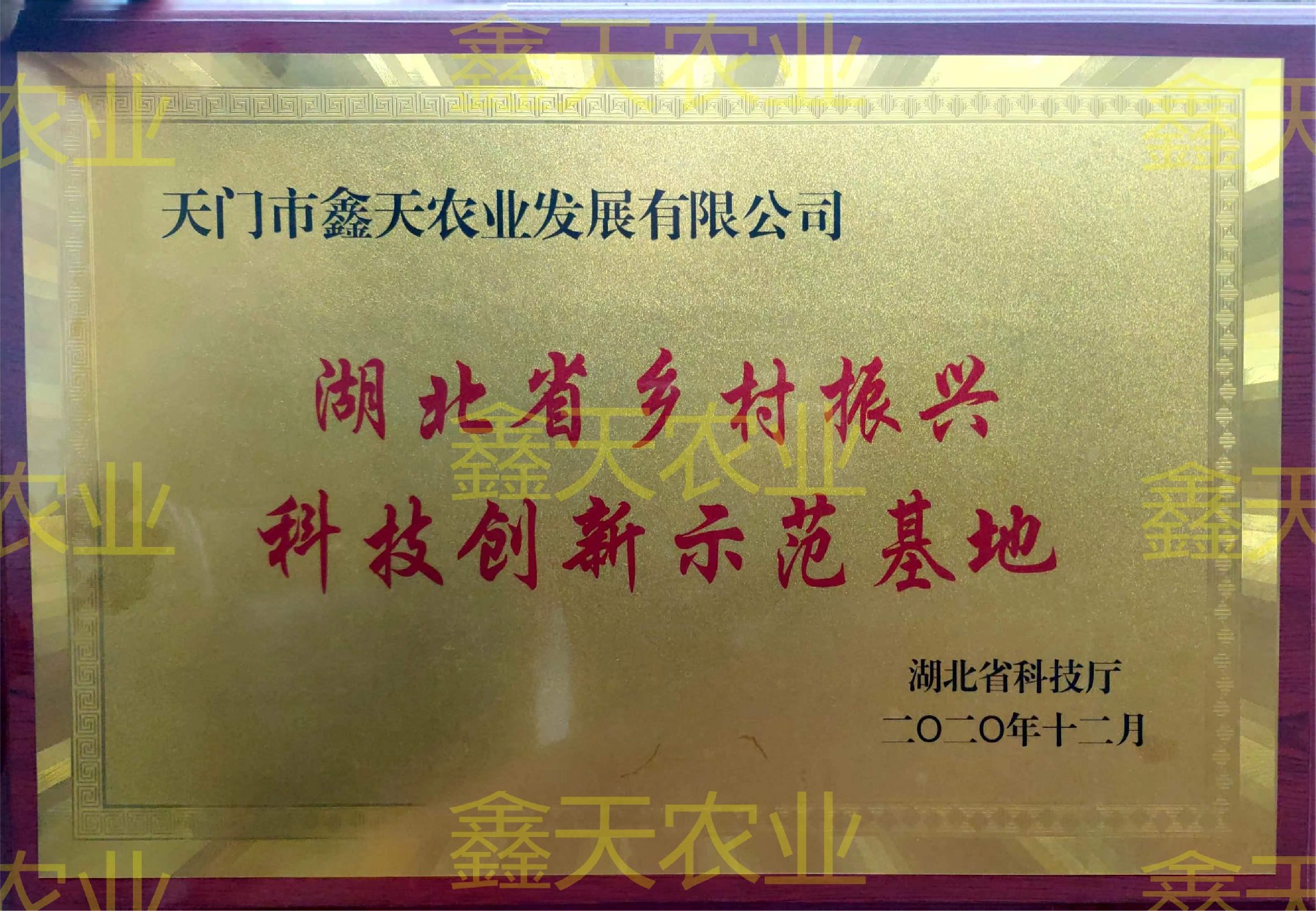 省鄉(xiāng)村振興科創(chuàng)基地.jpg