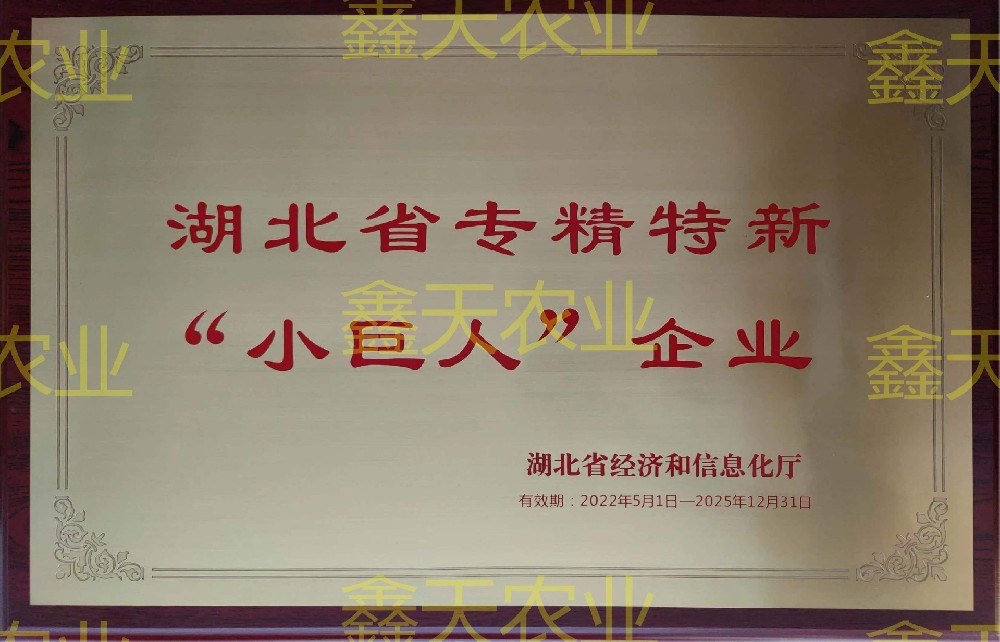 湖北省專精特新“小巨人”