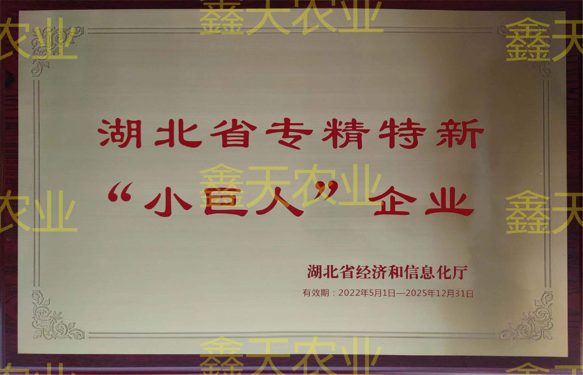 省級專精特新小巨人2022.5-2025.5.jpg
